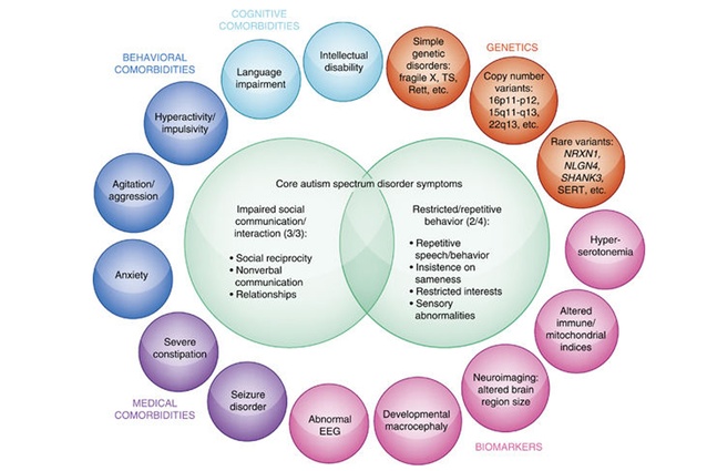 Diagram of Core Symptoms of ASD