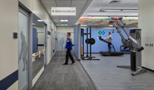 TRIA St. Paul - Physical Therapy